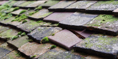 Eggington roof repair costs